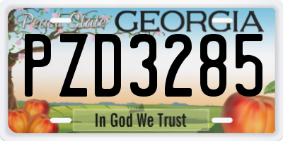 GA license plate PZD3285