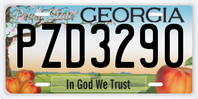 GA license plate PZD3290