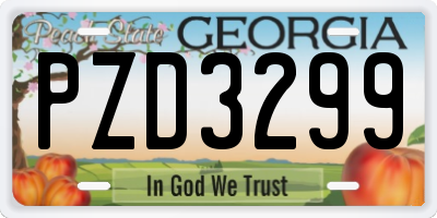 GA license plate PZD3299