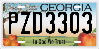 GA license plate PZD3303