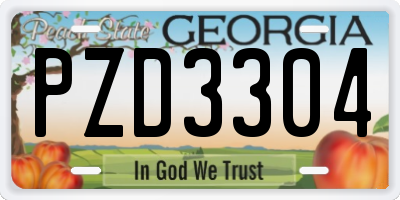 GA license plate PZD3304