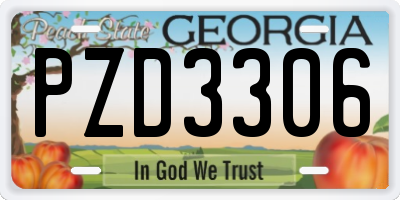 GA license plate PZD3306