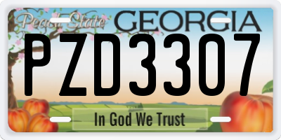 GA license plate PZD3307