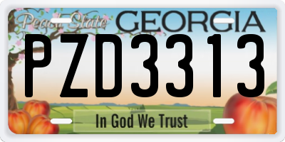 GA license plate PZD3313