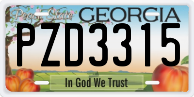 GA license plate PZD3315