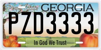 GA license plate PZD3333