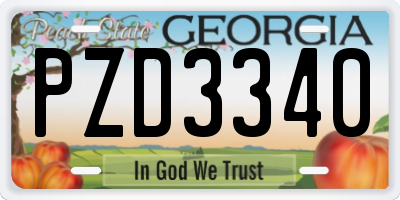 GA license plate PZD3340