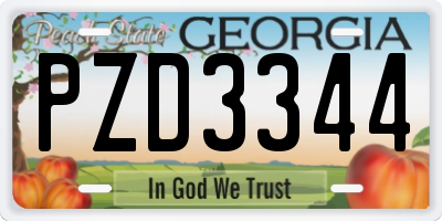 GA license plate PZD3344