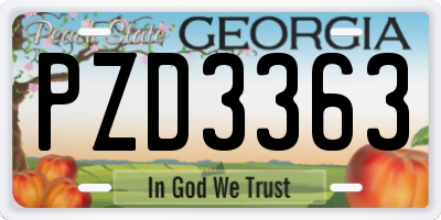GA license plate PZD3363