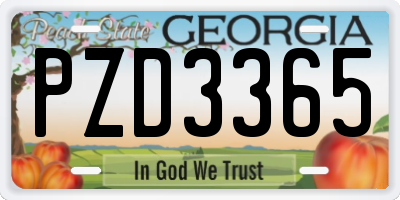 GA license plate PZD3365