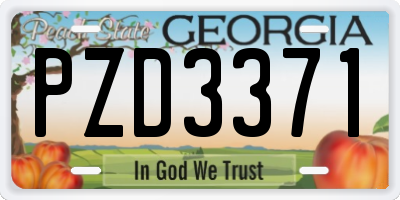 GA license plate PZD3371