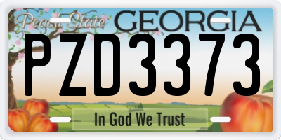 GA license plate PZD3373