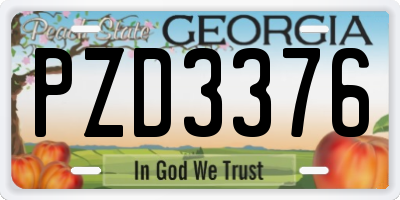 GA license plate PZD3376