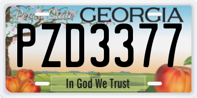 GA license plate PZD3377