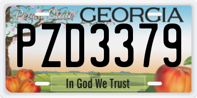 GA license plate PZD3379