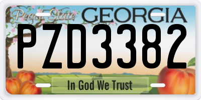 GA license plate PZD3382