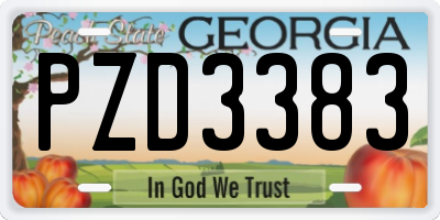 GA license plate PZD3383