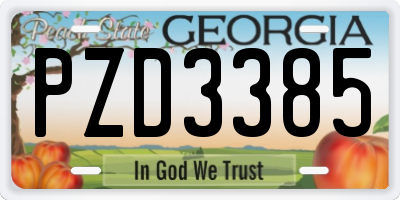 GA license plate PZD3385