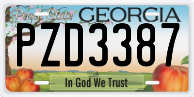 GA license plate PZD3387
