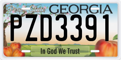 GA license plate PZD3391