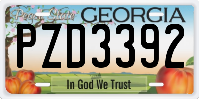 GA license plate PZD3392