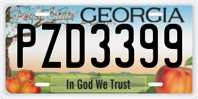 GA license plate PZD3399
