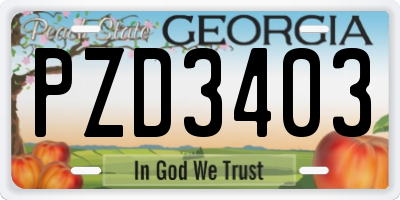 GA license plate PZD3403