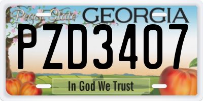 GA license plate PZD3407