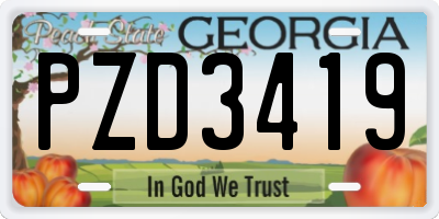 GA license plate PZD3419