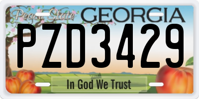 GA license plate PZD3429