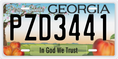 GA license plate PZD3441