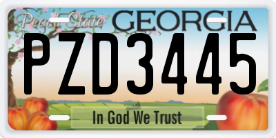 GA license plate PZD3445
