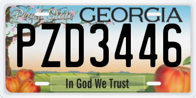 GA license plate PZD3446