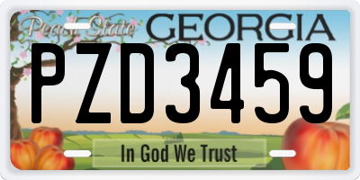 GA license plate PZD3459