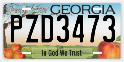 GA license plate PZD3473