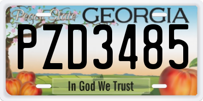 GA license plate PZD3485