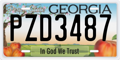 GA license plate PZD3487