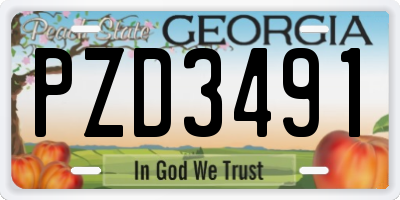 GA license plate PZD3491