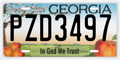GA license plate PZD3497