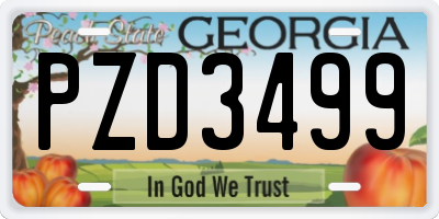 GA license plate PZD3499
