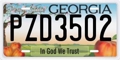 GA license plate PZD3502