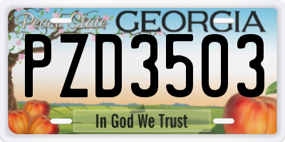 GA license plate PZD3503