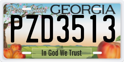 GA license plate PZD3513