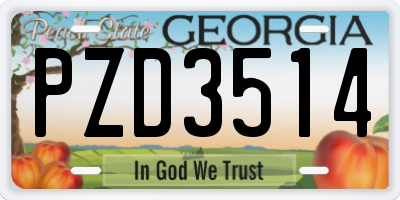 GA license plate PZD3514