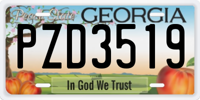 GA license plate PZD3519