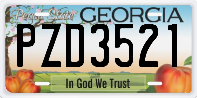 GA license plate PZD3521