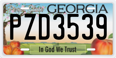 GA license plate PZD3539