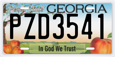 GA license plate PZD3541