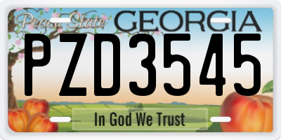 GA license plate PZD3545