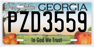 GA license plate PZD3559
